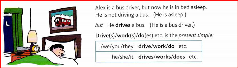 Thì thời điểm hiện tại đơn - simple present tense