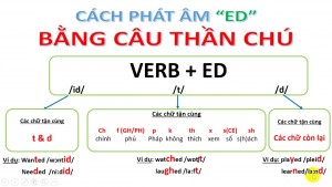 Cách phát âm đuôi ED của động từ quá khứ