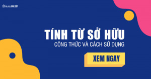 Cách sử dụng tính từ sở hữu trong tiếng anh