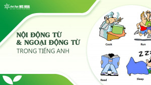 Nội động từ và ngoại động từ trong tiếng Anh