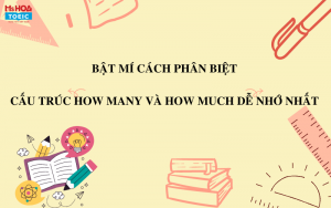 Bật mí cách phân biệt cấu trúc how many và how much dễ nhớ nhất