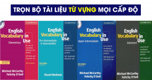 Download ngay trọn bộ ENGLISH VOCABULARY IN USE - Từ vựng cho mọi cấp độ