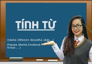 Tính từ trong tiếng Anh - Vị trí, Cách dùng và Bài tập