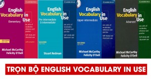 Download ngay trọn bộ ENGLISH VOCABULARY IN USE - Từ vựng cho mọi cấp độ