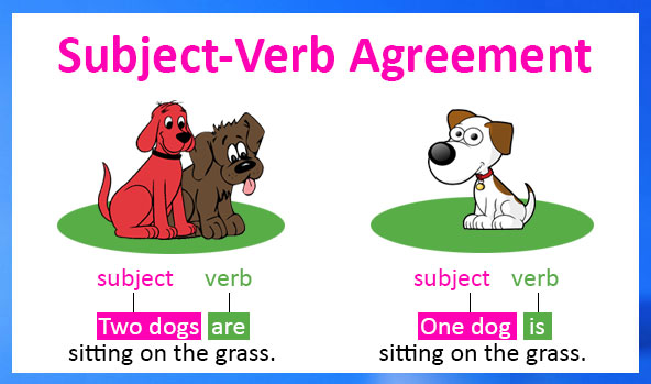 Sự hòa hợp giữa chủ ngữ và Động từ (Subject - Verb Agreement)