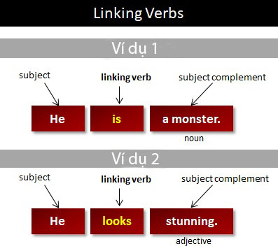 ĐỘNG TỪ NỐI TRONG TIẾNG ANH (LINKING VERBS)