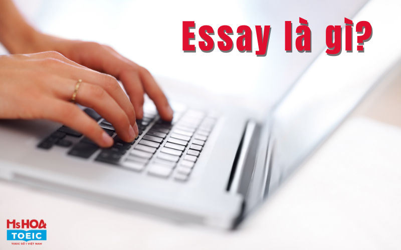 reaction essay là gì