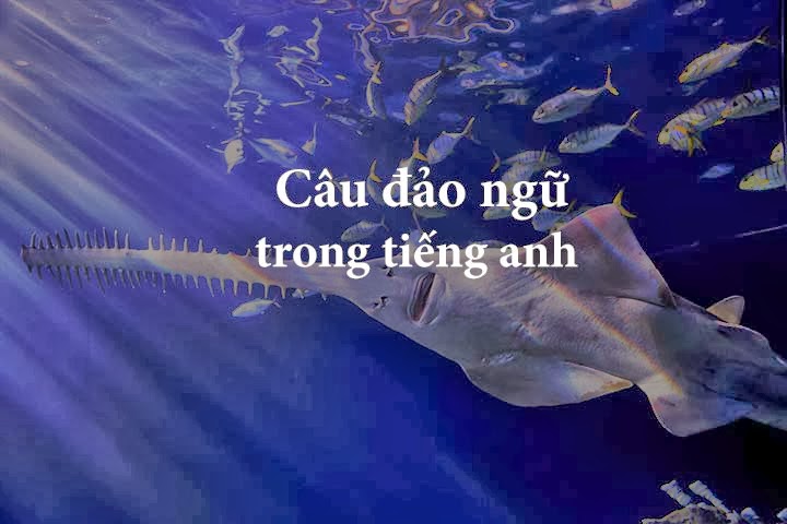 Tiếng anh giao tiếp hàng ngày - mẹo học tiếng anh giao tiếp hàng ngày hay